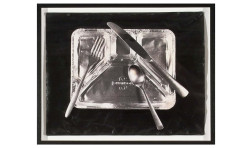 Thinking and Seeing Beyond the Lens: Conceptual Photography from